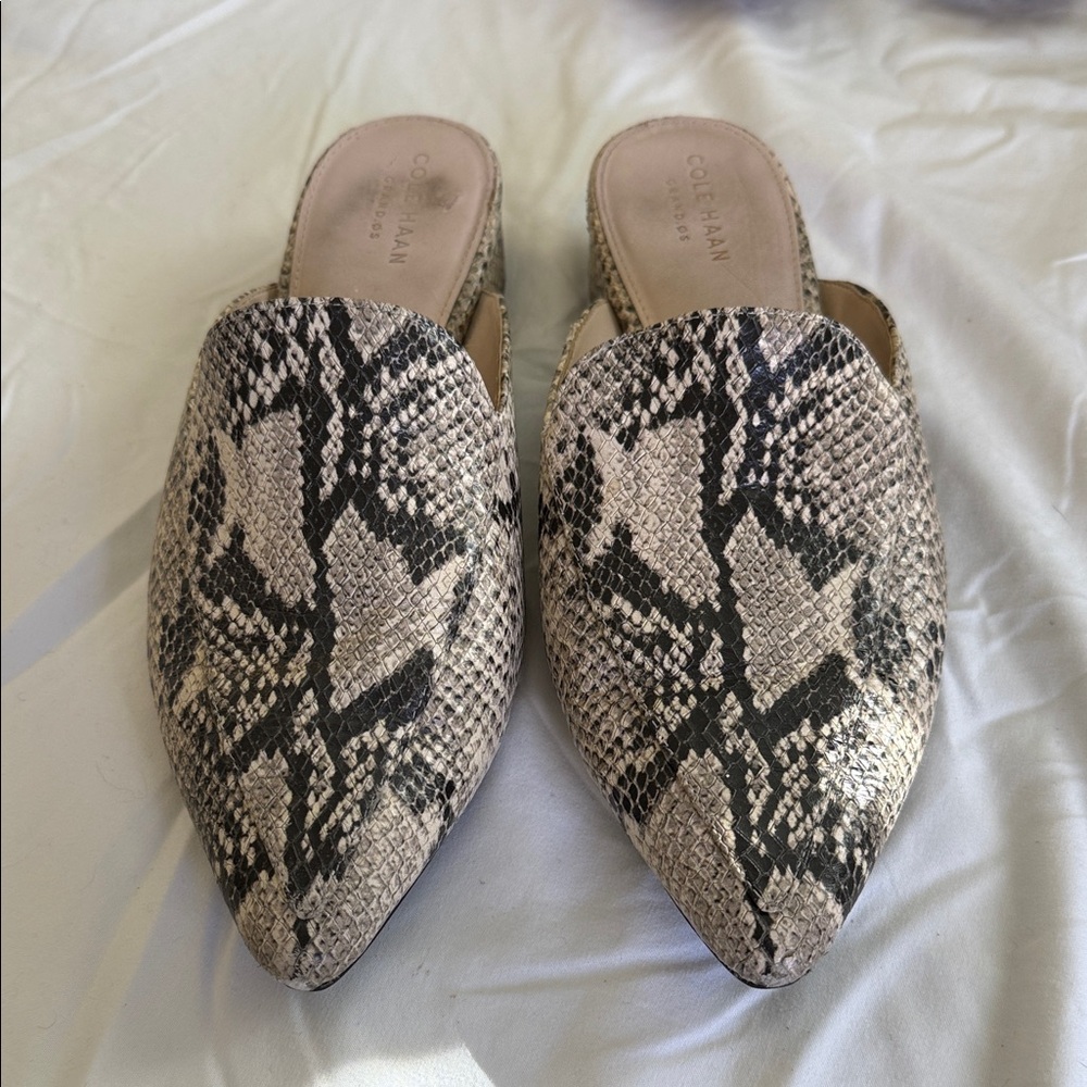 Cole Haan Women's Snakeskin Mules - Black and Tan